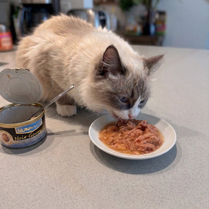 Tuna with Salmon in Gravy - 80g (2.8oz)